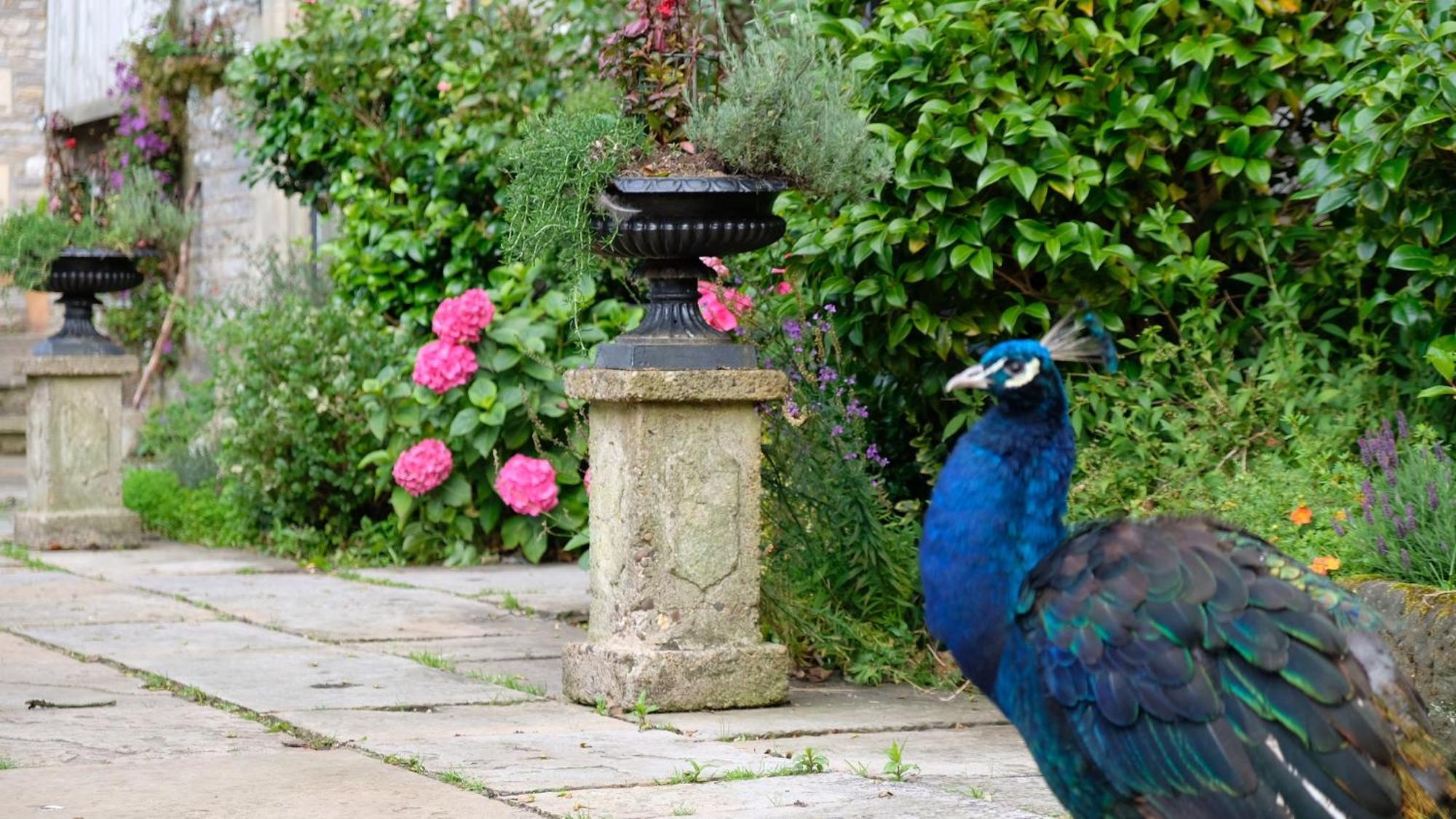 Simonstone Hall Hotel Hawes Bagian luar foto